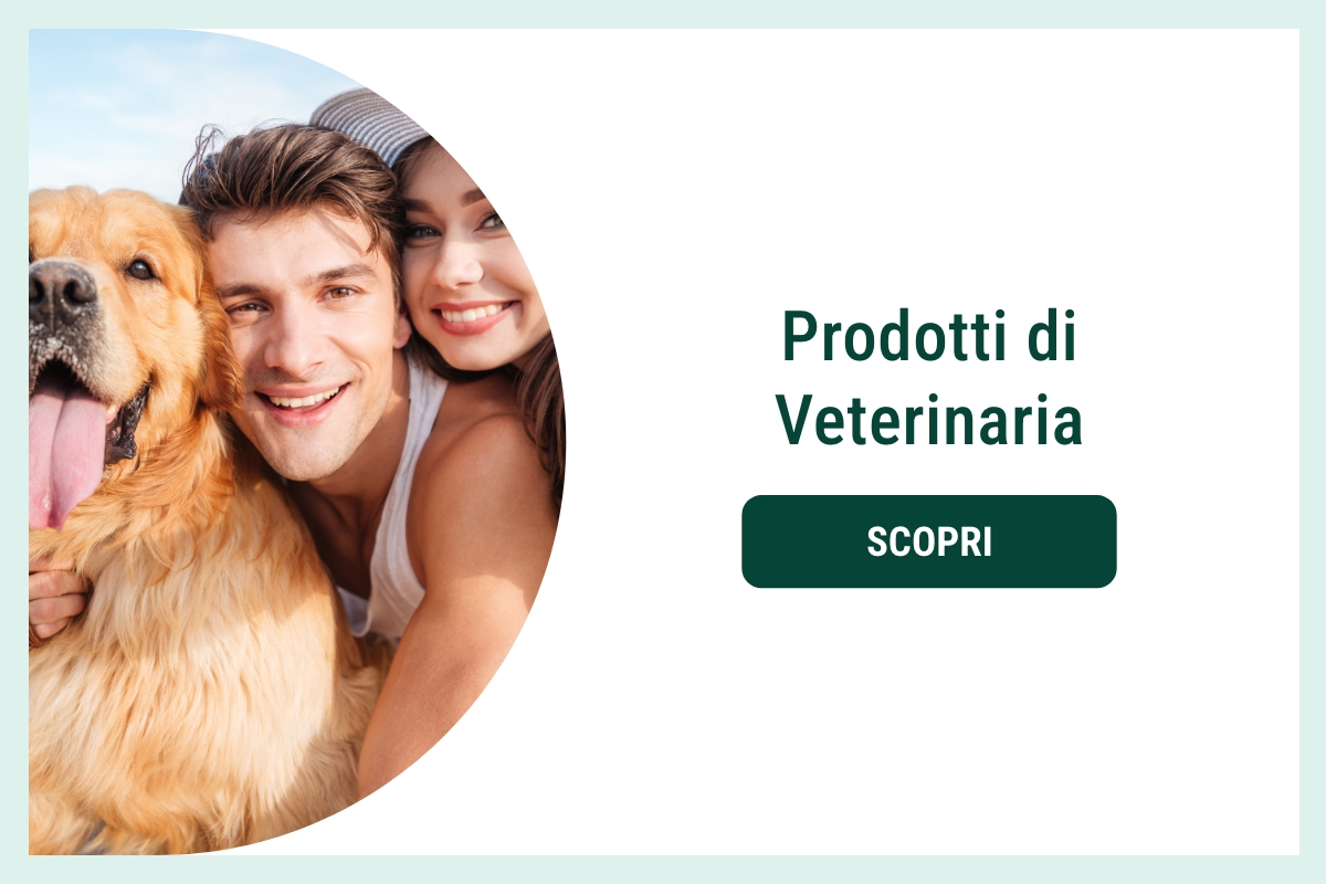 Veterinaria 