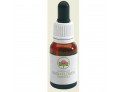 Red suva frangipani austr 15ml