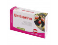Berberina da berberis vulgaris estratto secco 60 compresse